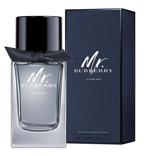 mr burberry aftershave review|mr burberry indigo fragrantica.